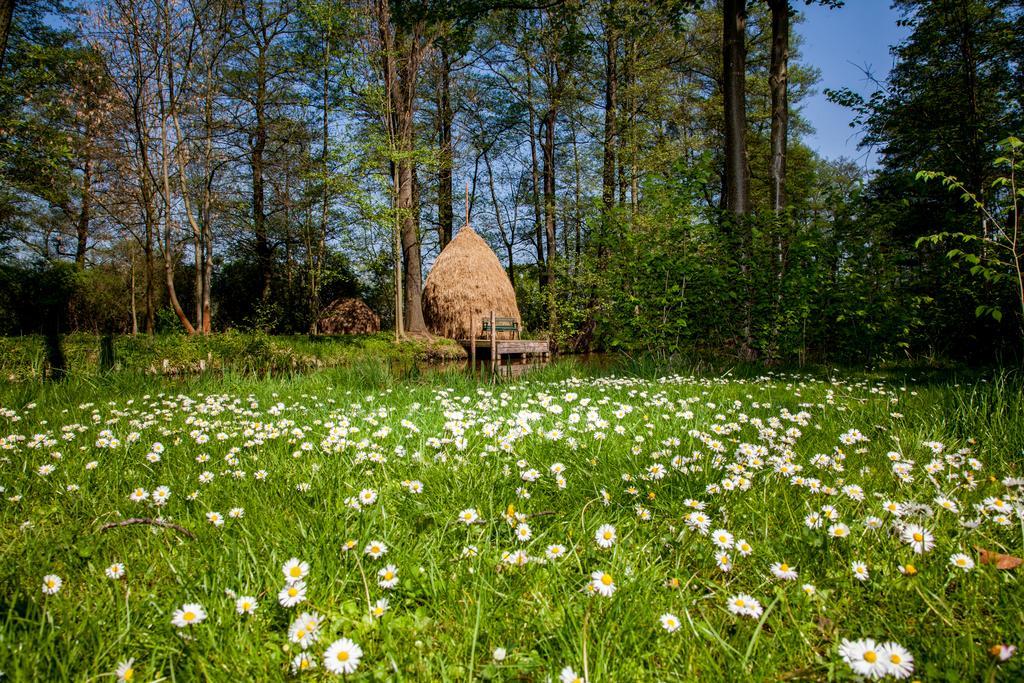 Hotel Zum Stern Spreewald Werben  Luaran gambar